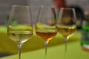 Cider Awards Judging